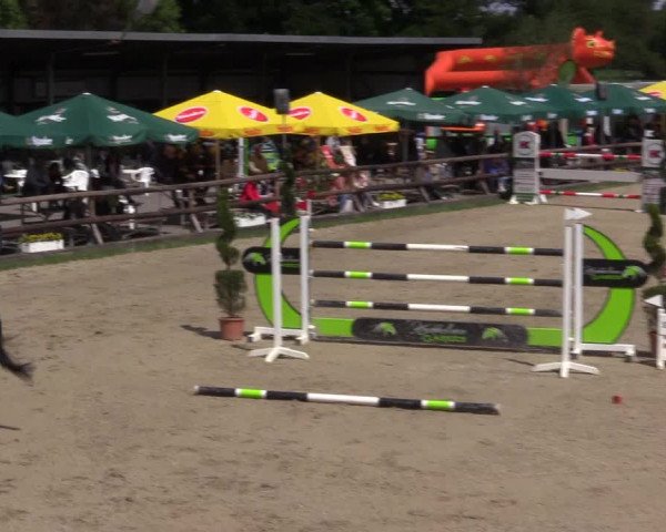 Reitturnier Kirchhellen/Stall Dieckmann 2022