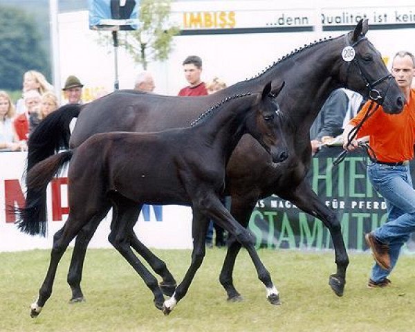 broodmare Rubiena (Westphalian, 1993, from Rubinstein I)