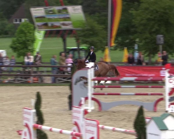 Reitturnier Kirchhellen/Stall Dieckmann 2022