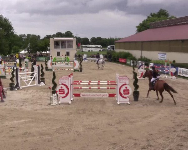 Reitturnier Kirchhellen/Stall Dieckmann 2022