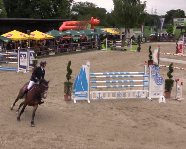 Reitturnier Kirchhellen/Stall Dieckmann 2022