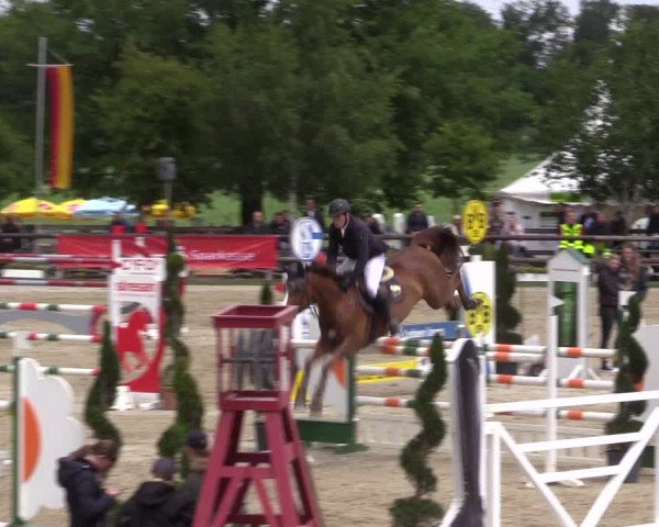 Reitturnier Kirchhellen/Stall Dieckmann 2022