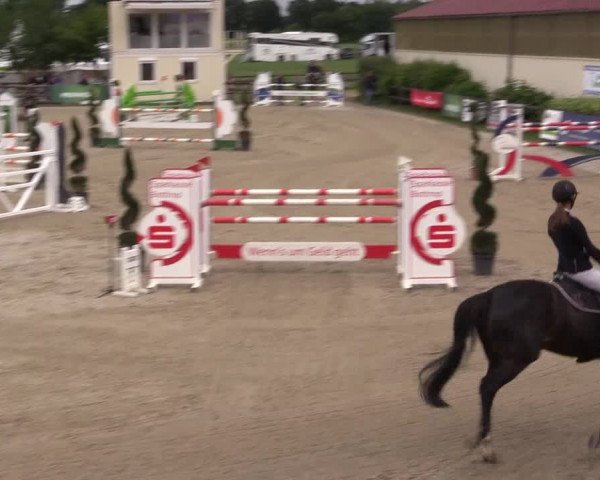 Reitturnier Kirchhellen/Stall Dieckmann 2022