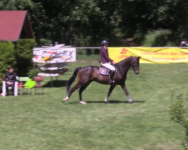 Reitturnier Königsborn 2022