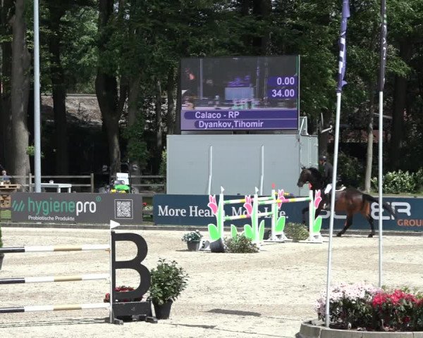 Reitturnier Klein Roscharden 2022