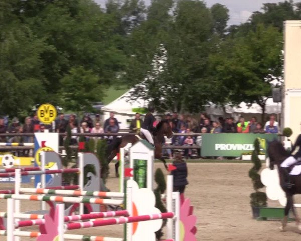Reitturnier Kirchhellen/Stall Dieckmann 2022