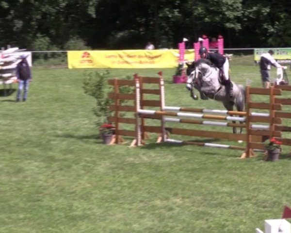 jumper Cataleya 35 (Mecklenburg, 2017, from Come And Fly)