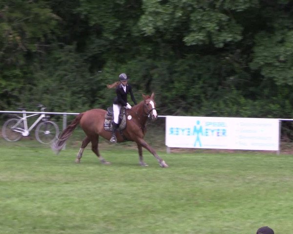 Reitturnier Königsborn 2022