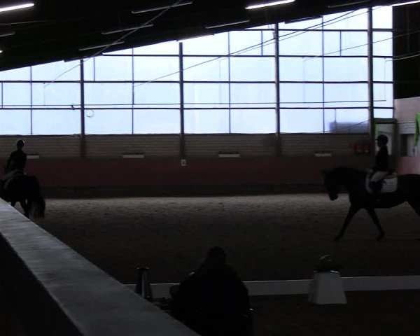 Reitturnier Hellefeld 2022