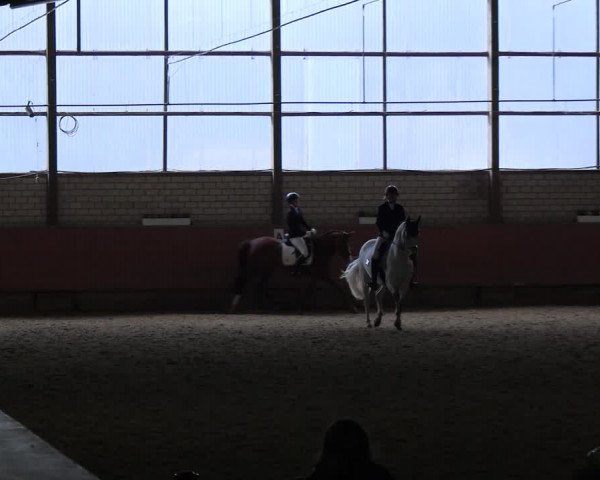 Reitturnier Hellefeld 2022