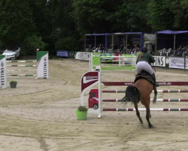 Reitturnier Hellefeld 2022