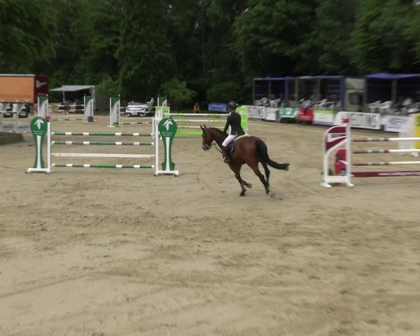 Reitturnier Hellefeld 2022