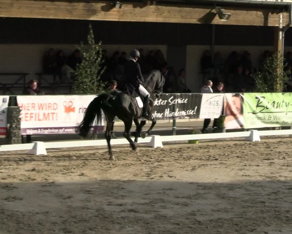 Reitturnier Hellefeld 2022