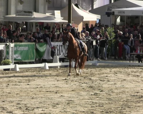 Reitturnier Hellefeld 2022