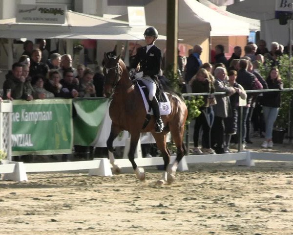 Reitturnier Hellefeld 2022