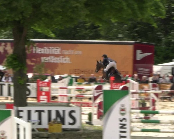 Reitturnier Hellefeld 2022
