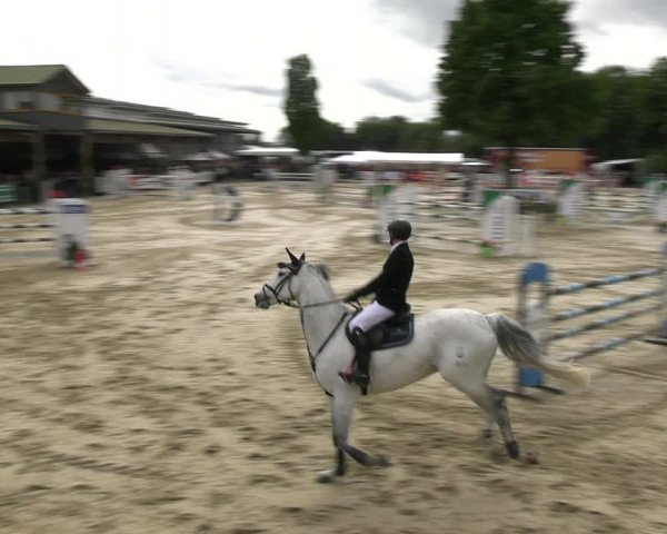 Reitturnier Hellefeld 2022
