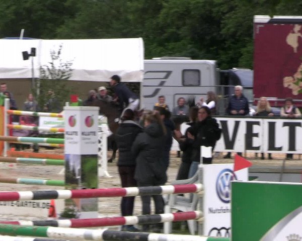 Reitturnier Hellefeld 2022