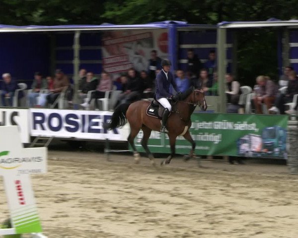 Reitturnier Hellefeld 2022