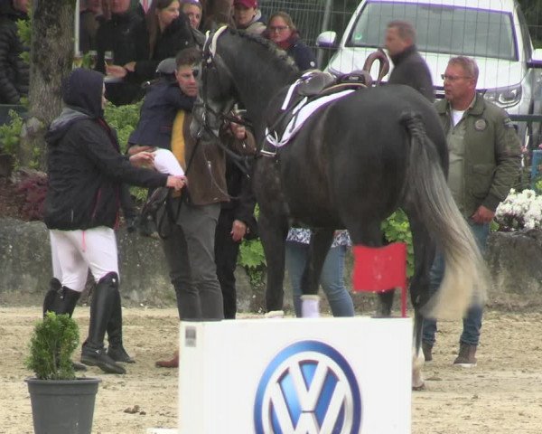 Reitturnier Hellefeld 2022