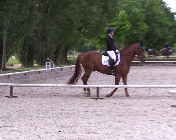 Reitturnier Hamm-Rhynern 2022
