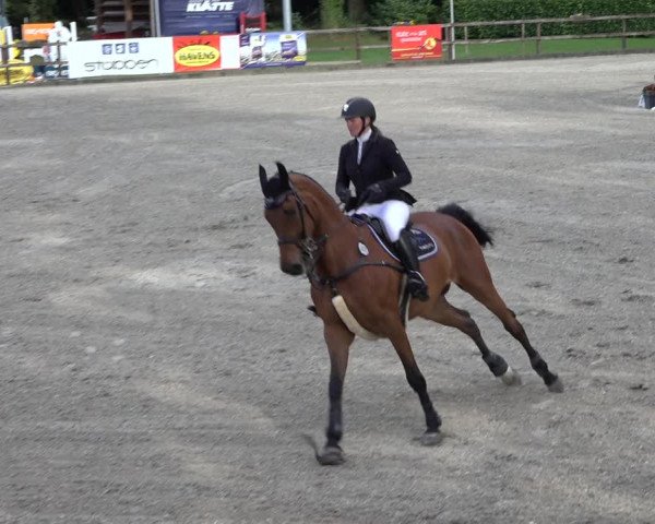 Reitturnier Klein Roscharden 2022