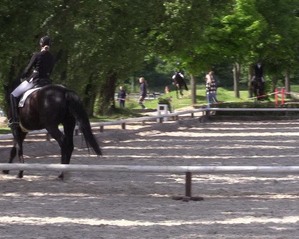 Reitturnier Hamm-Rhynern 2022