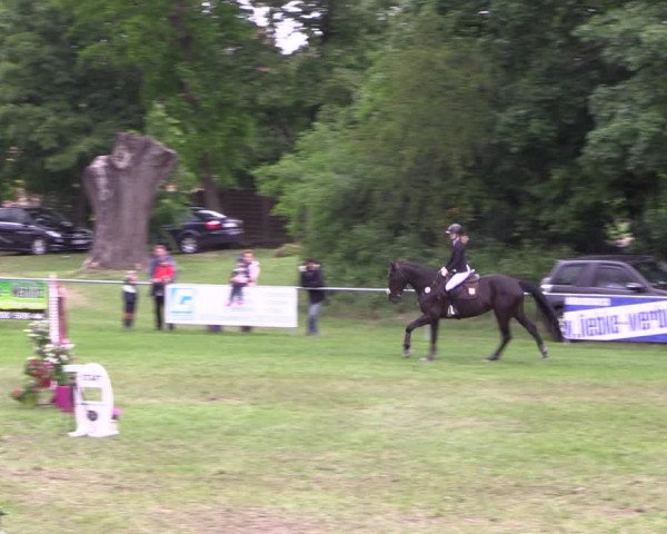 Reitturnier Königsborn 2022