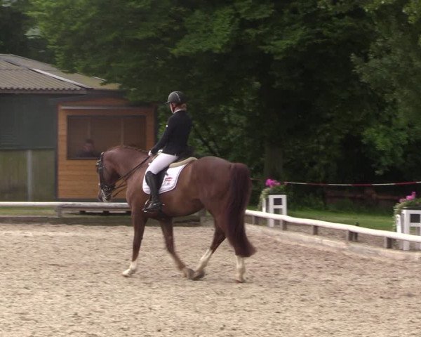 Reitturnier Hamm-Rhynern 2022