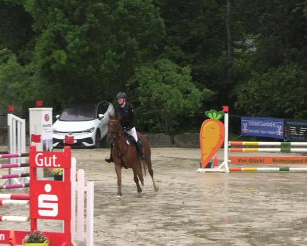 Reitturnier Hellefeld 2022