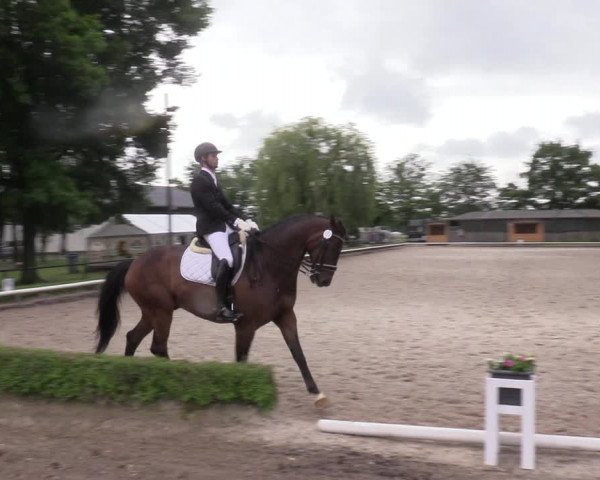 Reitturnier Hamm-Rhynern 2022