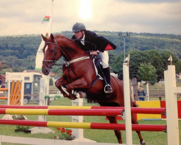 broodmare Astra (Hessian Warmblood, 1991, from Acalwahn)