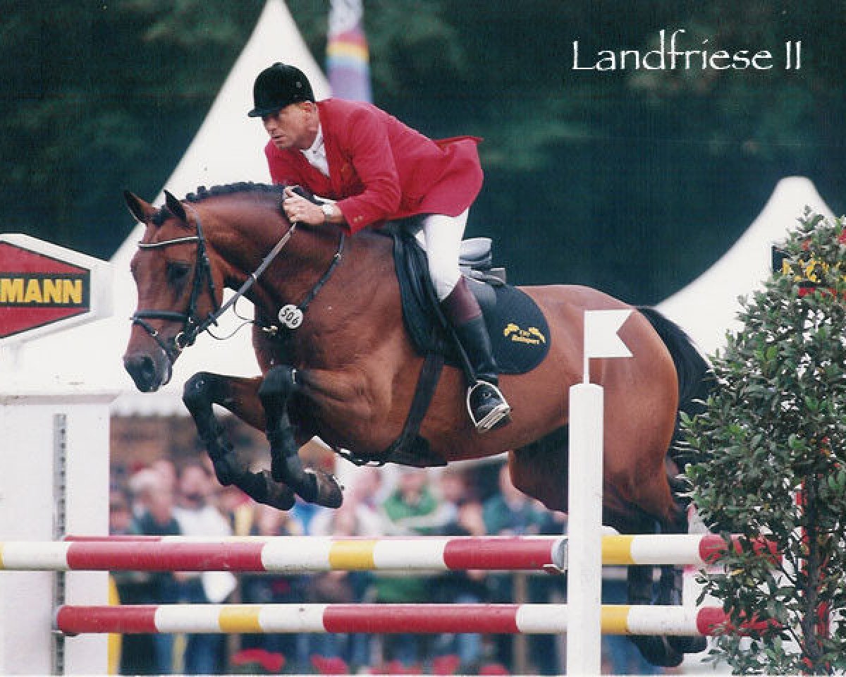Deckhengst Landfriese II (Oldenburger, 1992, von Landadel)