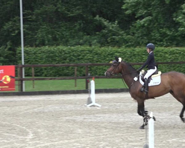 Reitturnier Klein Roscharden 2022