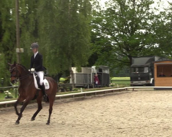 Reitturnier Hamm-Rhynern 2022