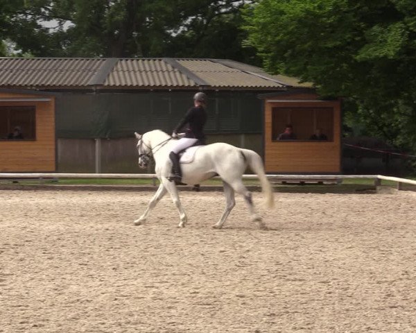 Reitturnier Hamm-Rhynern 2022