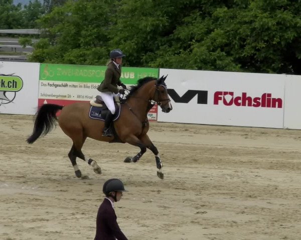 Reitturnier Wädenswil 2022