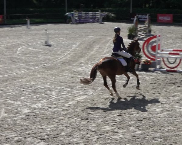 Reitturnier Klein Roscharden 2022