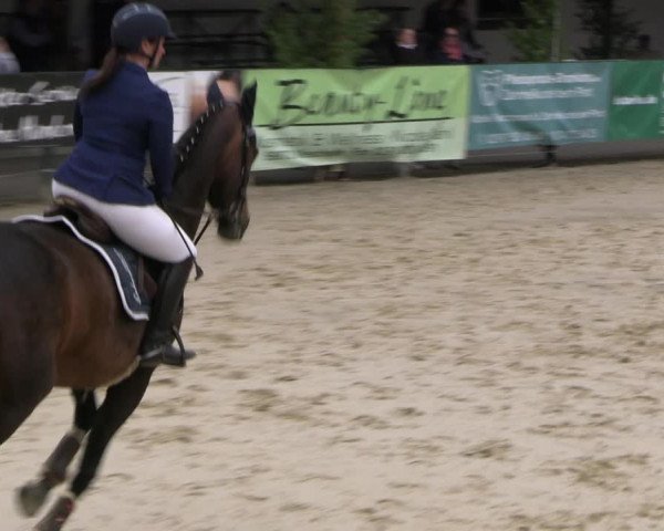 Reitturnier Hellefeld 2022