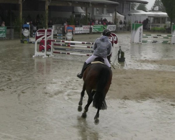 Reitturnier Hellefeld 2022
