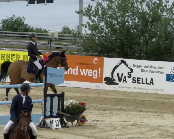 Reitturnier Wädenswil 2022