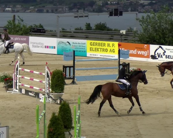 Reitturnier Wädenswil 2022