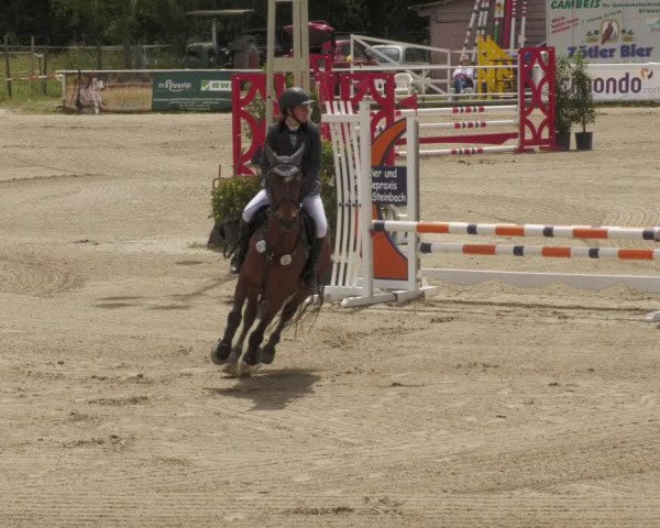 Reitturnier Billigheim 2022