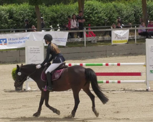 Reitturnier Billigheim 2022