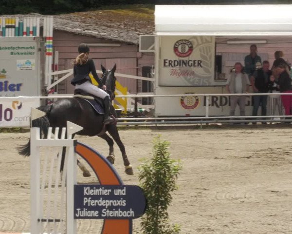 Reitturnier Billigheim 2022