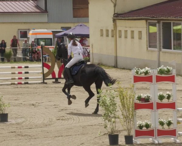Reitturnier Billigheim 2022