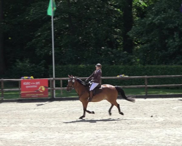 Reitturnier Klein Roscharden 2022