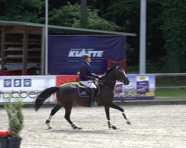 Reitturnier Klein Roscharden 2022
