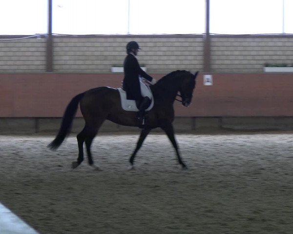 Reitturnier Hellefeld 2022
