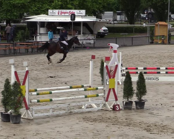 Reitturnier Hamm-Rhynern 2022